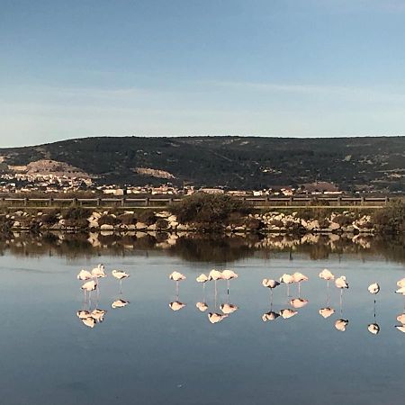 Flamants Roses 1 Pers 6 Frontignan Kültér fotó