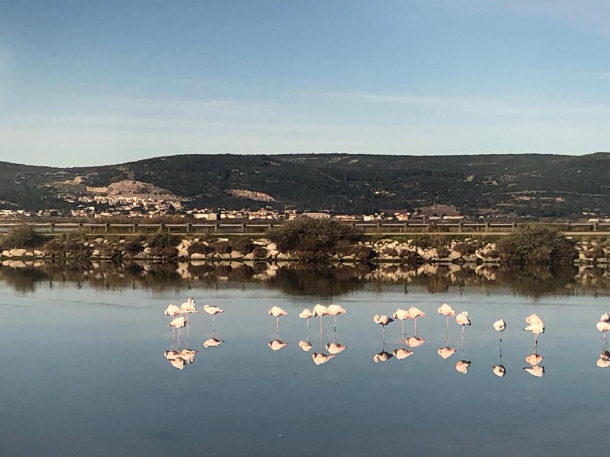 Flamants Roses 1 Pers 6 Frontignan Kültér fotó